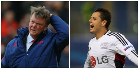 Javier Hernandez piles yet more misery on Louis van Gaal