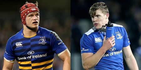 Garry Ringrose and Josh van der Flier ‘very capable’ of stepping up to international level