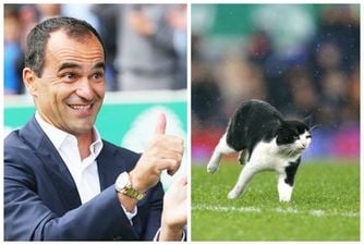 PICS: A wandering cat steals the show in Everton’s FA Cup win over Dagenham and Redbridge