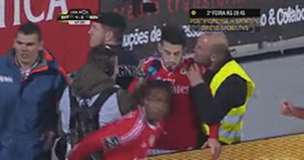 VIDEO: Steward abandons all professional inhibitions to celebrate wildly with players