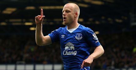 Steven Naismith’s move to Norwich appears a great bit of business by Everton