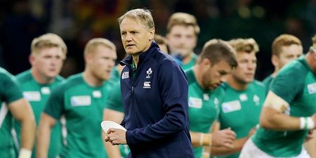 Joe Schmidt sets pulses racing with Six Nations squad