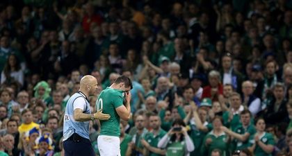 George Hook believes that Johnny Sexton should consider early retirement after latest concussion