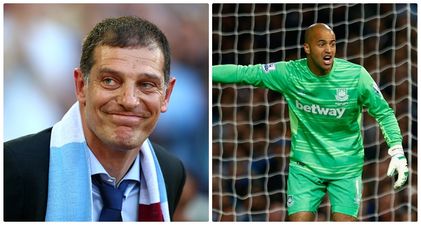 Slaven Bilic has offered Irish goalkeeper Darren Randolph the highest praise possible