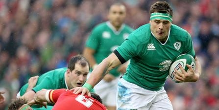 Gordon D’Arcy pays CJ Stander the ultimate compliment by comparing him to Irish legend