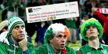 The wait for Euro 2016 tickets appears to have driven some Irish fans crazy