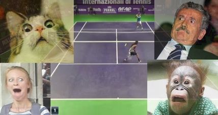 WATCH: Congratulations, Dustin Brown. You’ve just nailed the greatest tennis shot of all time