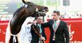 The Curragh confirm a special tribute to Michael’s Owen’s most famous horse