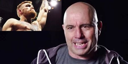 Joe Rogan outdoes himself with hyperbolic salute to Conor McGregor