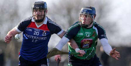 Limerick hurling fans getting rightly excited after an amazing Wednesday