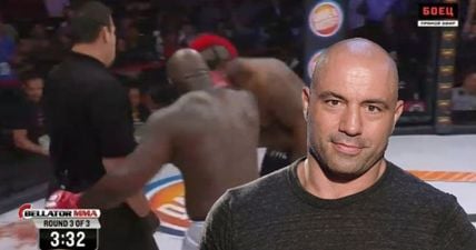 Joe Rogan’s analysis of Kimbo Slice v Dada 5000 was as harsh as you’d expect