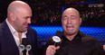 WATCH: Awkward moment at UFC 196 as Joe Rogan waits for completely unnecessary translation