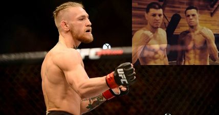 Conor McGregor reveals intention to fight not only Nate, but Nick Diaz too