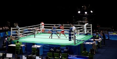 Boxing bosses press ahead with plan to let pro fighters enter Rio Olympics