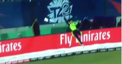 WATCH: Gary Wilson’s magical piece of fielding has to be seen to be believed … genuinely