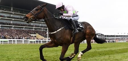 WATCH: Ruby Walsh and Douvan destroy Arkle rivals to get Ireland off the mark at Cheltenham