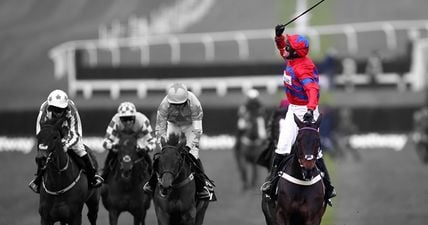 The world reacts with tear-filled joy to Sprinter Sacre’s remarkable victory