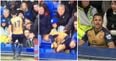 Alexis Sanchez plunges into Goodison Park stand, decides to just sit down with Everton fans