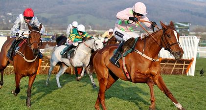 The bookies lost a serious amount of cash on money back specials at Cheltenham