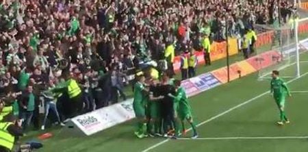 VIDEO: Colin Kazim-Richards tries to wrestle celebrating Celtic fan off steward