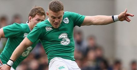 It sounds like we might not be seeing Ian Madigan in an Ireland jersey for a while