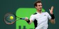 WATCH: Tennis droid Andy Murray finally has anger update installed