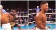 Watch: Anthony Joshua wins world title with stunning second round KO