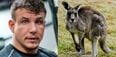 UFC legend Frank Mir not ruling out kangaroo meat causing drug test failure