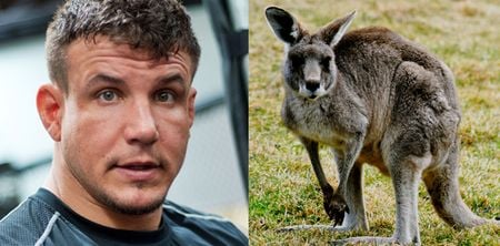 UFC legend Frank Mir not ruling out kangaroo meat causing drug test failure