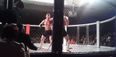 WATCH: SBG’s Charlie Ward scores knockout victory at TEF1, celebrates with teammate Conor McGregor