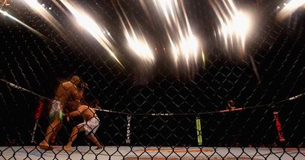 IMMAF releases call to action requesting governmental regulation of mixed martial arts events