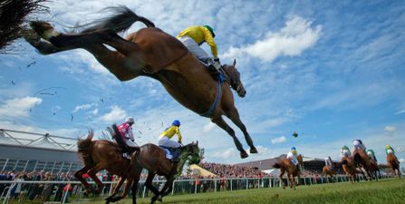 TIPS: Hayley O’Connor marks your card for the opening day of Punchestown Festival