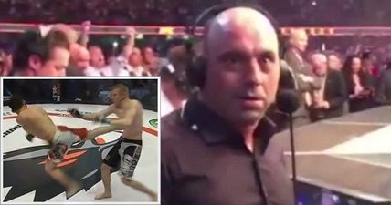 WATCH: Joe Rogan would be proud of this gorgeous spinning back kick TKO from Russia