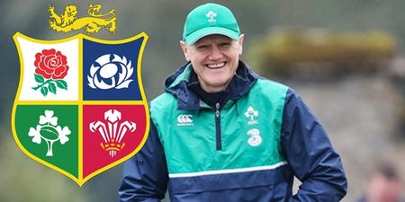 IRFU to back Joe Schmidt for British & Irish Lions job on one, crucial condition