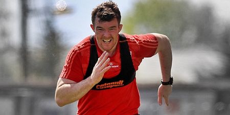 ‘My head wants to go but I’ll have to see whether my body will allow me’ – Peter O’Mahony