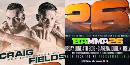 BAMMA 26 postponed as Ireland finally gets serious on MMA legislation