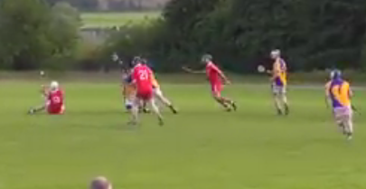 WATCH: Wexford intercounty footballer scores crazy hurling point for his club