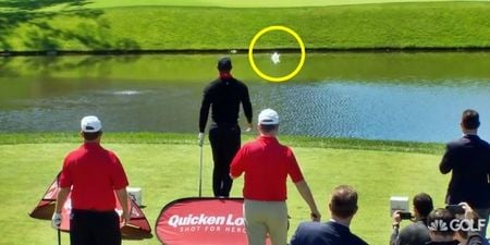 VIDEO: It is genuinely hard to watch Tiger Woods being humiliated at a hole-in-one competition