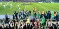 WATCH: Scenes of sheer, crazy joy as Connacht bench explode at final whistle