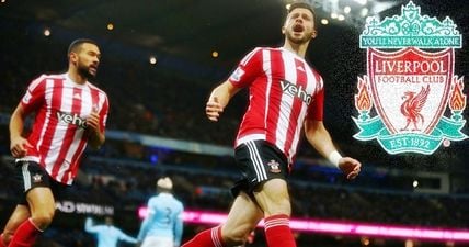 Jurgen Klopp wants Shane Long to lead his gegenpressing revolution at Liverpool