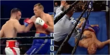 Skull-rattling KO by ‘The Russian GGG’ might be knock-out of the year