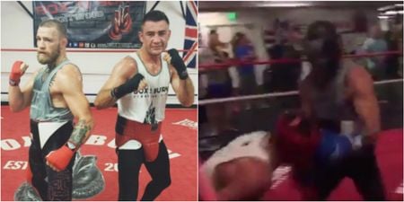 Conor McGregor with 16oz gloves isn’t that powerful according to recent sparring partner