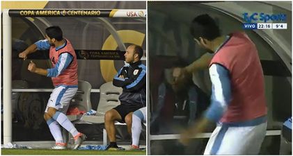 Watch: Luis Suarez throws a tantrum as Uruguay get knocked out of the Copa America