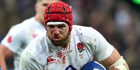 James Haskell the dictionary definition of immense as England scorch Aussies on home soil