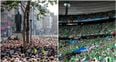 Pic: One of Dublin’s busiest streets was eerily deserted during the Ireland game