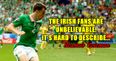 Speechless Seamus Coleman hails Ireland’s fans as the “best in the world”