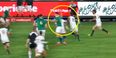 WATCH: Ireland have every right to be aggrieved at this crucial Springbok try