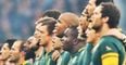 South African trade union claims white Springboks are trying to sabotage Ireland series