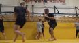 WATCH: Conor McGregor back working with Ido Portal ahead of Nate Diaz rematch