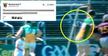 ‘Worst GAA decision in 40 years’ – Umpires miss clear goal by Wexford goalkeeper